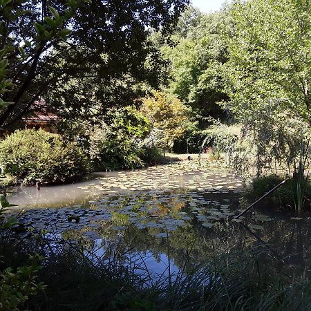 Le Chalet De La Grenouille Verte Tursac Buitenkant foto