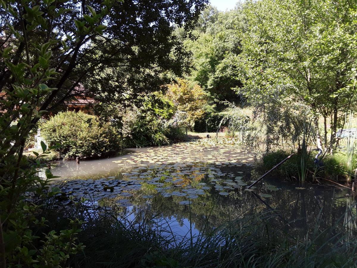 Le Chalet De La Grenouille Verte Tursac Buitenkant foto